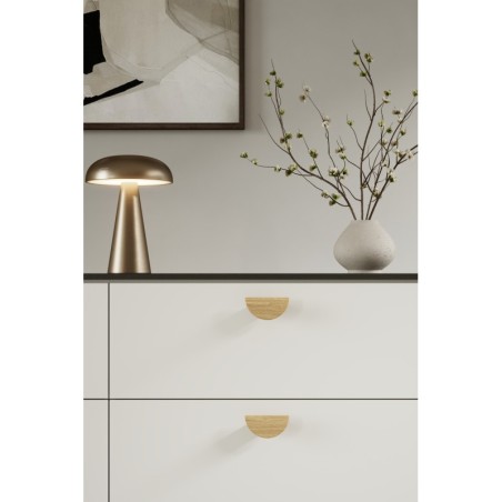 Handle HORIZON SMALL used on interior furniture.