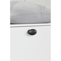 Knob OVAL SIMPLE w/PINS used on interior furniture.