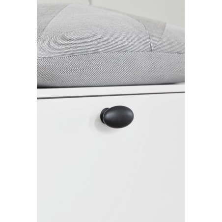 Knob OVAL SIMPLE w/PINS used on interior furniture.