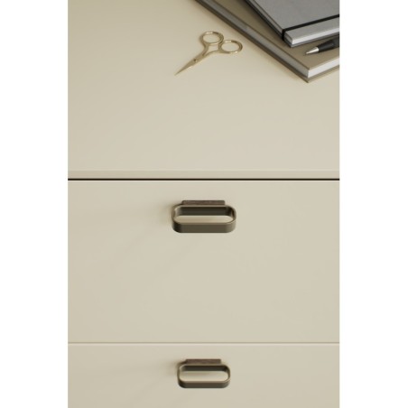Handle RACE used on interior furniture.